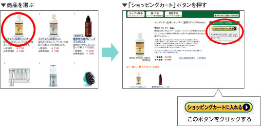 送料込 インディアン伝承シャンプー 280㎖ 2本セット トリビック