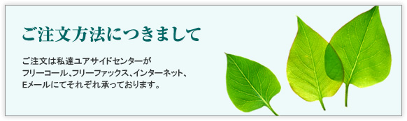 ���������@�ɂ���