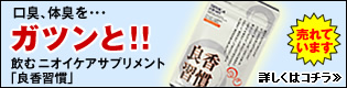 ���ރj�I�C�P�A�T�v�������g�u�Ǎ��K���v�v