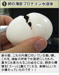 1.���̔���v���e�C�����n�t