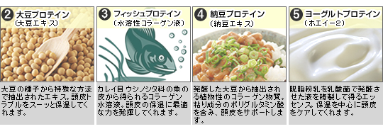 ���̑��̐���