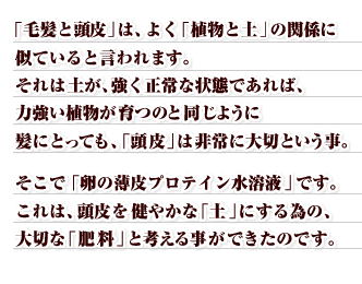 ���̔���v���e�C�����n�t