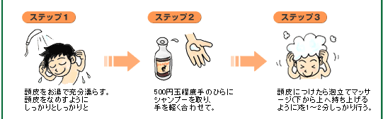 インディアン伝承シャンプー｜結果を求め続ける戦闘化粧品