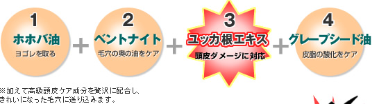 インディアン伝承シャンプー｜結果を求め続ける戦闘化粧品