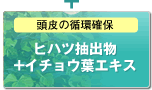 �q�n�c���o��+�C�`���E�t�G�L�X
