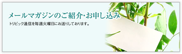 メールマガジンのご紹介・お申し込み