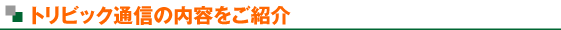 �g���r�b�N�ʐM�̓��e�����Љ�