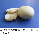 �V�����s�j�I���G�L�X�̗́I�I