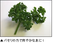 �p�Z���̗́I�I