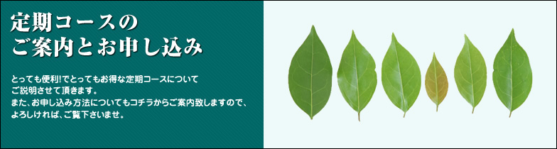 ����R�[�X�̂��ē����\������